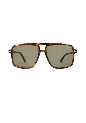 TOM FORD Kemp Sunglasses in Shiny Havana & Green - Brown. Size all.