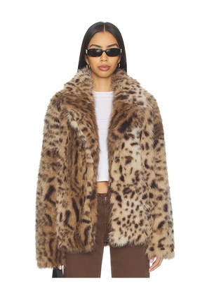 Aniye By Roxette Faux Fur Jacket in Brown. Size M. Also in S, XS, XXS.