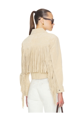 BLANKNYC Fringe Jacket in Tan. Size L. Also in M, S, XS.