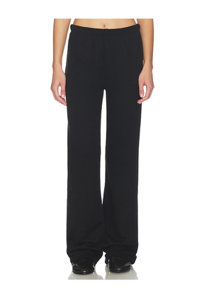 Eterne Straight Leg Sweatpant in Black. Size L. Also in M, S, XS.