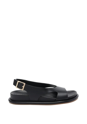 Paloma Barceló Calista buckle leather sandals - Black