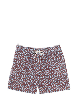 MC2 Saint Barth seahorse-print swim shorts - Brown