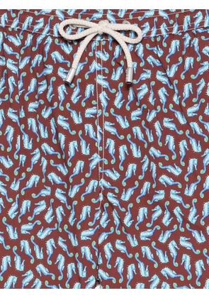 MC2 Saint Barth seahorse-print swim shorts - Brown