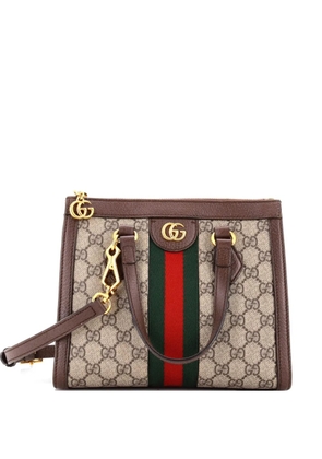 Gucci Pre-Owned Ophidia Top Handle GG Coated Canvas Small tote bag - Brown