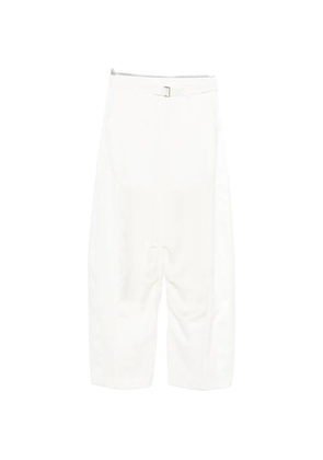 sacai belted trousers - Neutrals
