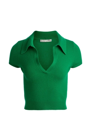 alice + olivia And cashmerei top - Green