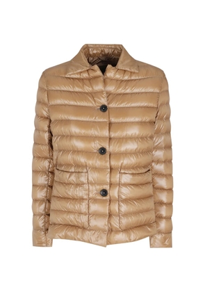 Herno collared jacket - Brown