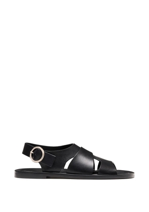 Proenza Schouler Capri caged sandals - Black