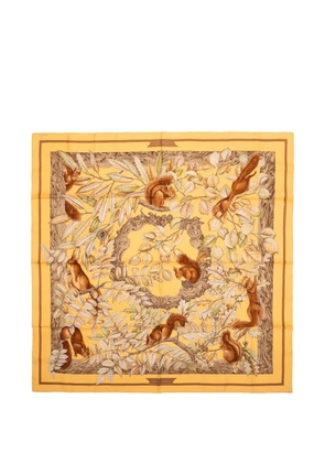 Hermès Pre-Owned Casse squirrel-print scarf - Yellow