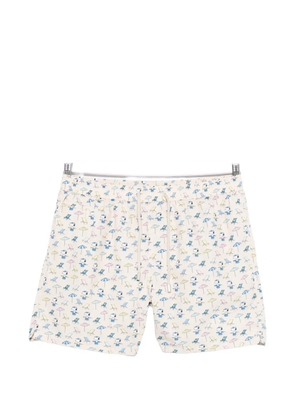 MC2 Saint Barth drawstring printed swim shorts - Neutrals
