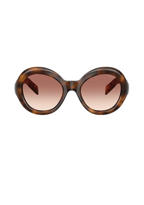 Prada Phantos Sunglasses in Pink & Brown - Brown. Size all.