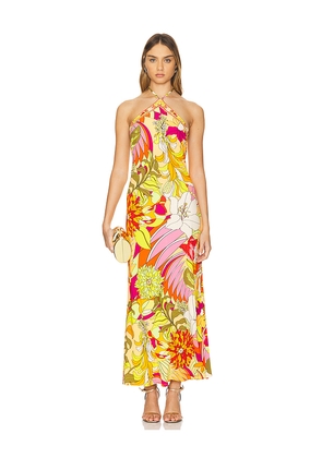 Camilla Long Halter Dress in Yellow. Size L. Also in M.