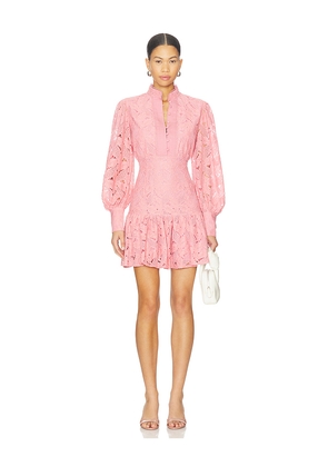Bardot Remy Lace Dress in Pink. Size 10. Also in 8.