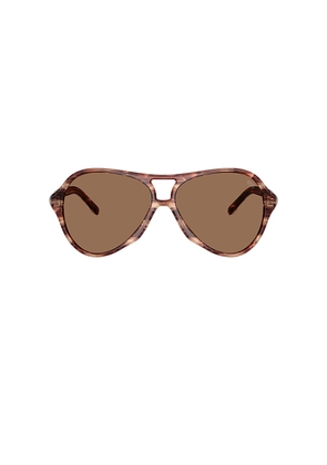Diesel Aviator Sunglasses in Brown.
