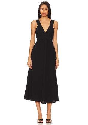 Steve Madden Taryn Dress in Black. Size XS. Also in S.