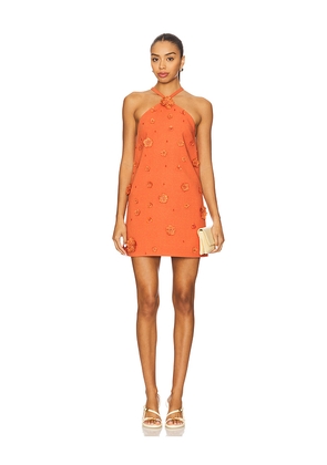Alexis Milaa Dress in Orange. Size S. Also in XS.