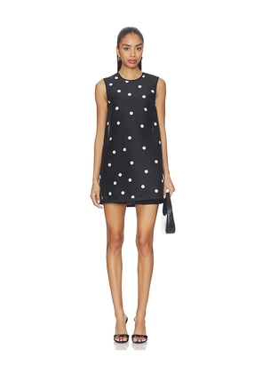 Alexis Zilez Dress in Black,White. Size L. Also in M, S, XS.