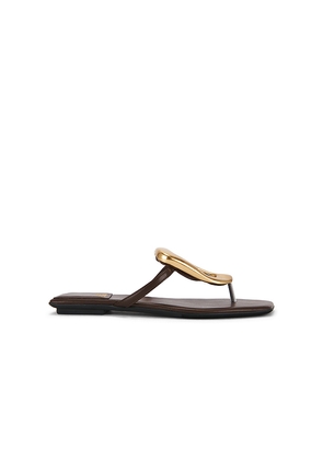 Jeffrey Campbell Linques 2 Sandal in Chocolate. Size 10. Also in 11, 6, 6.5, 7, 7.5, 8, 8.5, 9, 9.5.