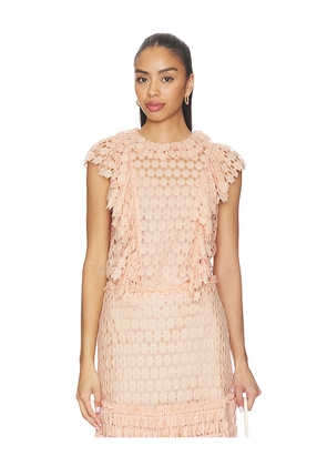 Ulla Johnson Daevy Lace Short Sleeve Top in Blush. Size 0. Also in 10, 12, 4, 6, 8.