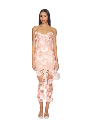 Zhivago Dream Of That Dress in Blush. Size 12. Also in 4, 8.