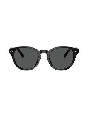Polo Ralph Lauren Phantos Sunglasses in Black - Black. Size all.