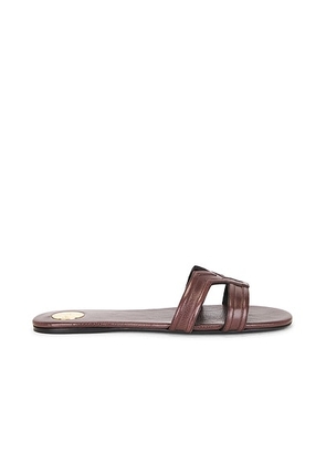 Saint Laurent Mabrouka Slide in Paris Brown - Brown. Size 35 (also in 37, 37.5, 38, 38.5, 39, 39.5, 40, 41).