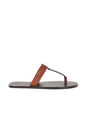 Saint Laurent Babylone Entredoigt Slide in Bruciato - Brown. Size 36 (also in 36.5, 37, 37.5, 38, 38.5, 39, 39.5, 40, 41).