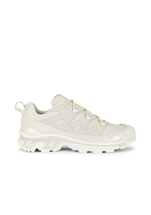 Salomon Xt-6 Expanse Ltr Sneaker in Vanilla  Almond  & Milk - Cream. Size 8.5 (also in ).