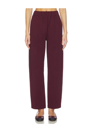 ALIGNE Markus Ponte Trouser in Wine. Size 4. Also in 2.