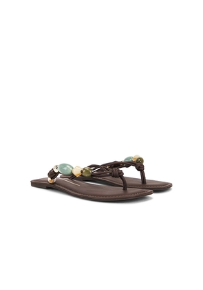 Dolce Vita Cely Sandal in Chocolate. Size 6. Also in 10, 7, 8, 9.