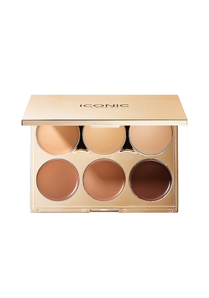 ICONIC LONDON Multi-Use Sculpting Palette in Multi.