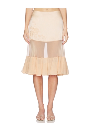 Mirror Palais Silk Chiffon Crinoline Skirt in Rose. Size M. Also in S.