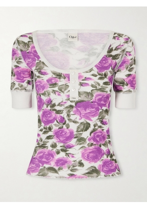 Chloé - Floral-print Ribbed Stretch-cotton Jersey T-shirt - Purple - x small,small,medium,large,x large