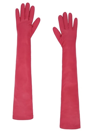Balenciaga Long Gloves in Rose - Blush. Size L (also in S).