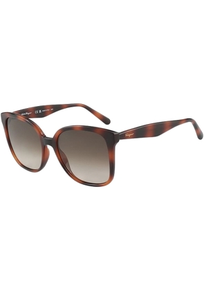 Ferragamo Brown Gradient Square Ladies Sunglasses SF1072S 240 56