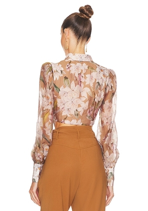 Bardot Valentina Corset Top in Tan. Size 4. Also in 2.