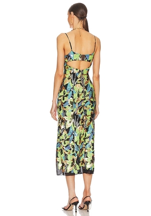 ELLIATT Tilda Dress in Multi. Size XS. Also in L.