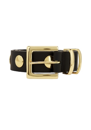 B-Low the Belt Sphinx Moto Belt in Black. Size XL. Also in L.