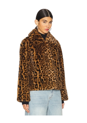 Apparis Elis Leopard Short Coat in Brown. Size M. Also in L, S, XS, XXS.