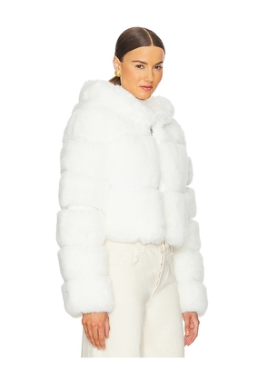 Adrienne Landau The Lina Faux Fur Jacket in White. Size M. Also in L, S.