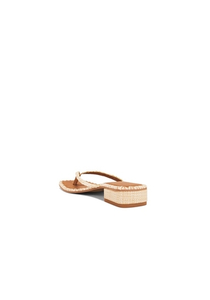 Dolce Vita Barty Sandal in Beige. Size 10. Also in 7.5, 8, 8.5, 9.