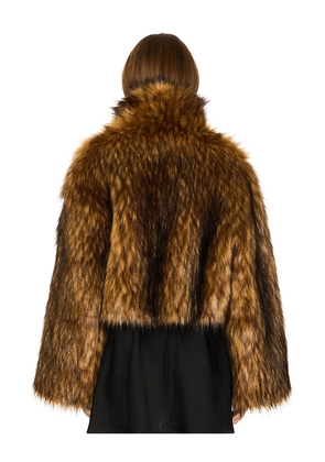 Adrienne Landau Teddy Bomber Jacket in Brown. Size M. Also in L, S.