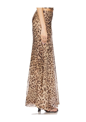 Bardot Monroe Maxi Skirt in Brown. Size 10. Also in 4, 2, 6, 8.