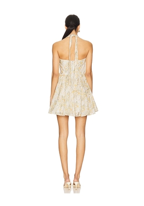 Bardot Pollie Halter Mini Dress in Lemon,Beige. Size 12. Also in 6, 10.