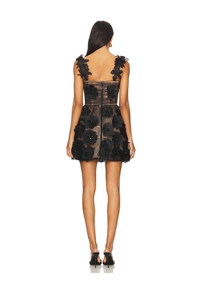 Bronx Banco Rosalie Noir Mini Dress in Black. Size M. Also in S.