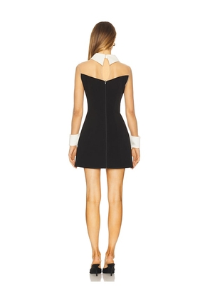 Bronx and Banco Wednesday Mesh Mini Dress in Black. Size M. Also in S.