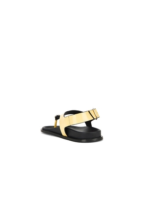 ALOHAS Harbor Onix Sandals in Yellow. Size 36. Also in 40.