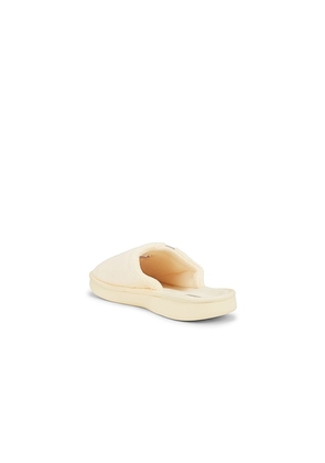 Brunch Essential Spring in Yellow. Size 12/12.5. Also in 13/13.5.