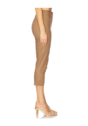Cult Gaia Blair Pant in Brown. Size 10. Also in 0.