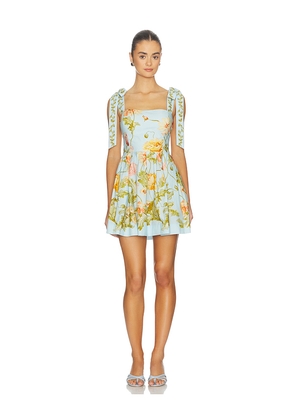 Cara Cara Tula Mini Dress in Baby Blue. Size 0. Also in 10, 12, 2, 4, 6, 8.